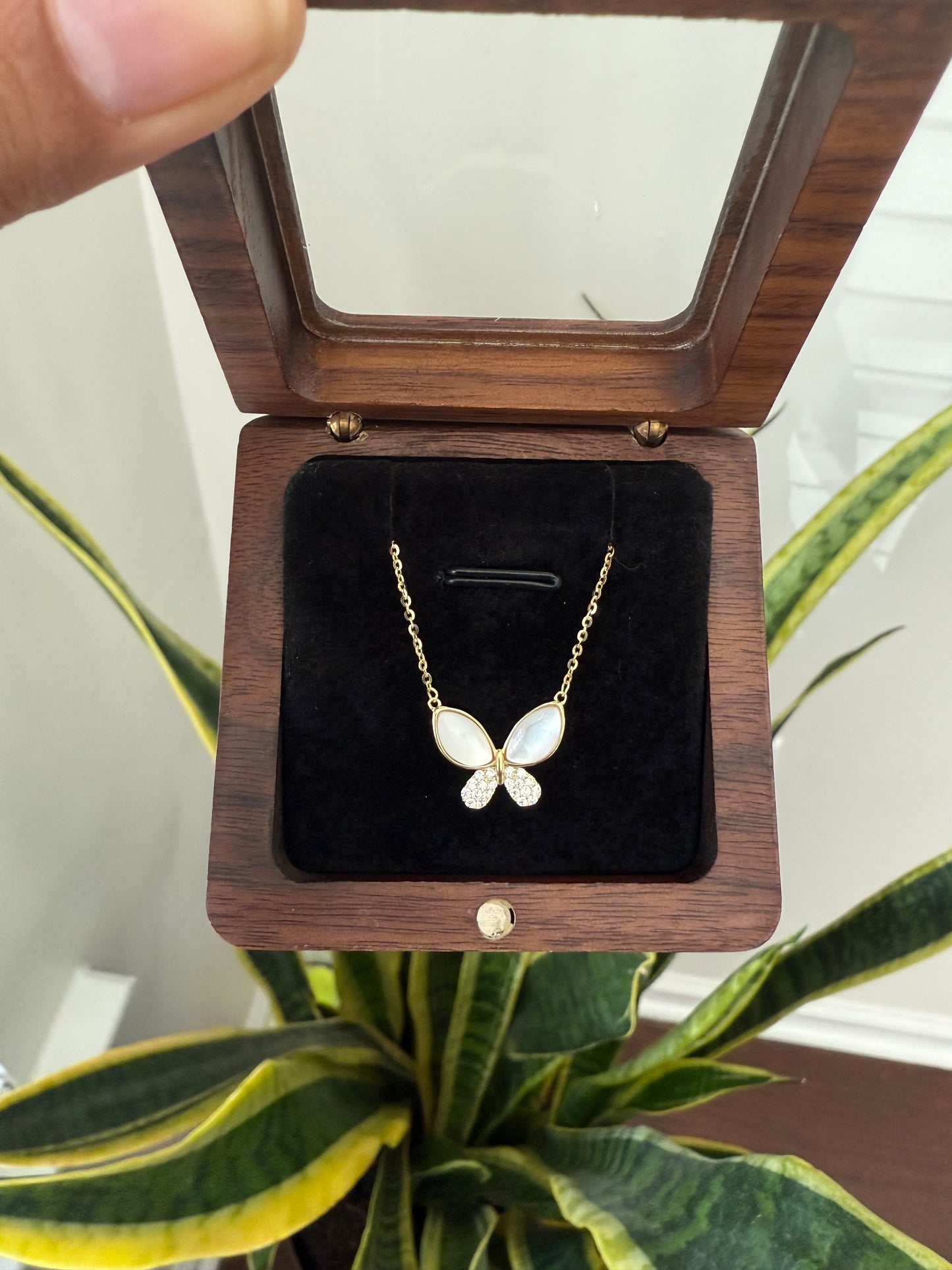 Ciela Mother Of Pearl Gold Finish Butterfly Pendant With Chain On 925 Silver