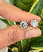 Classic EVE 1.3 Carat Solitaire studs with premium screw backs - White Gold Finish